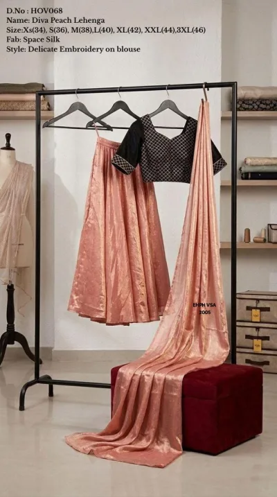 Dusty Pink Embroidered Lehenga – Pink